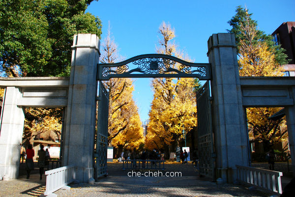 Main Gate @ University Of Tokyo, Tokyo